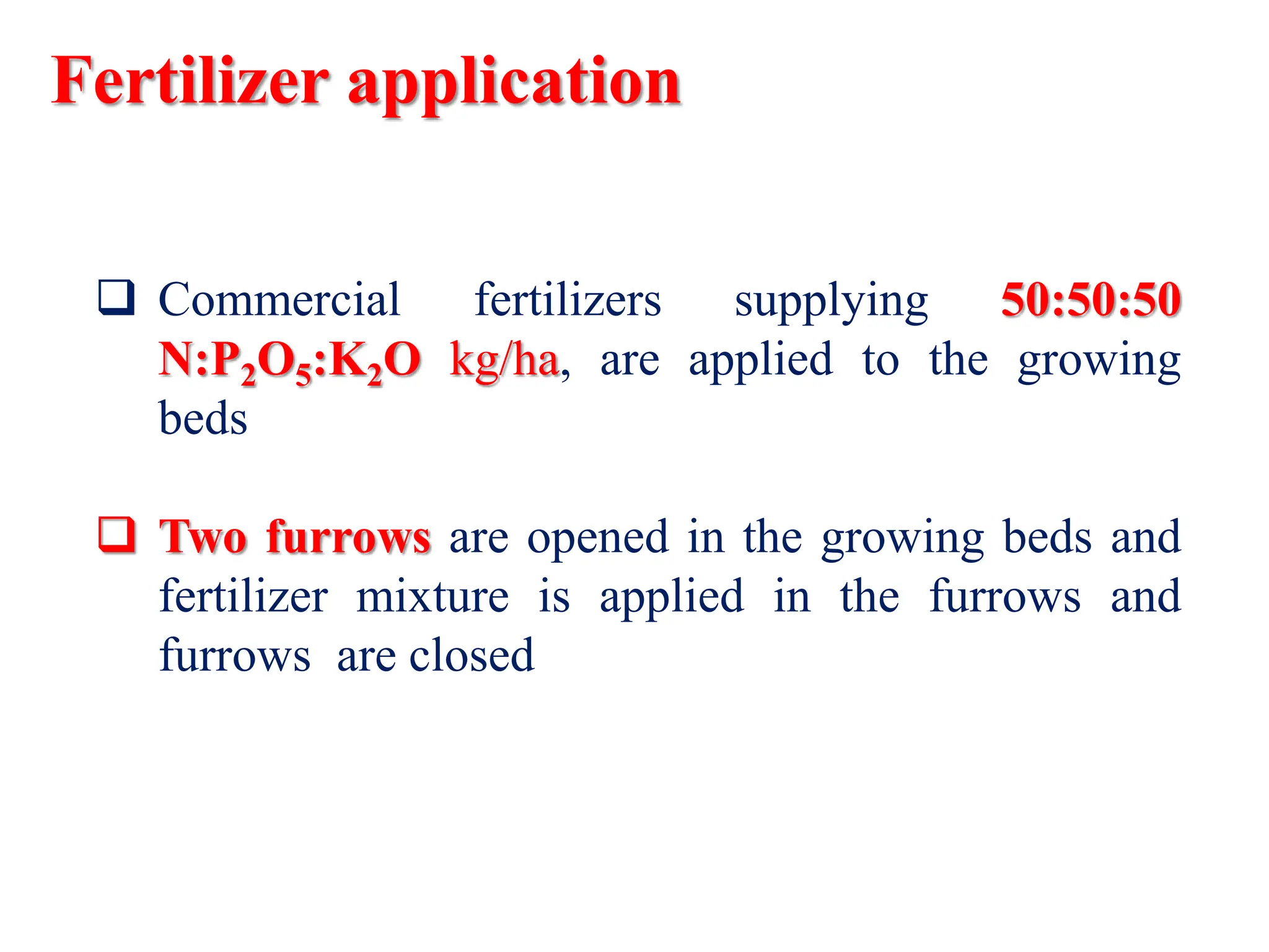 Fertilizer application
 Commercial fertilizers supplying 50:50:50
N:P2O5:K2O kg/ha, are applied to the growing
beds
 Two furrows are opened in the growing beds and
fertilizer mixture is applied in the furrows and
furrows are closed
 