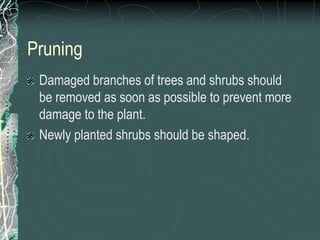 Pruning
Damaged branches of trees and shrubs should
be removed as soon as possible to prevent more
damage to the plant.
Newly planted shrubs should be shaped.
 