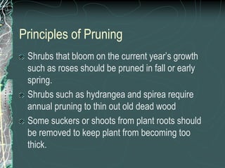 Principles of Pruning
Shrubs that bloom on the current year’s growth
such as roses should be pruned in fall or early
spring.
Shrubs such as hydrangea and spirea require
annual pruning to thin out old dead wood
Some suckers or shoots from plant roots should
be removed to keep plant from becoming too
thick.
 