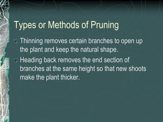 Types or Methods of Pruning
Thinning removes certain branches to open up
the plant and keep the natural shape.
Heading back removes the end section of
branches at the same height so that new shoots
make the plant thicker.
 