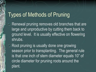 Types of Methods of Pruning
Renewal pruning removes old branches that are
large and unproductive by cutting them back to
ground level. It is usually effective on flowering
shrubs.
Root pruning is usually done one growing
season prior to transplanting. The general rule
is that one inch of stem diameter equals 10” of
circle diameter for pruning roots around the
plant.
 