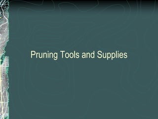 Pruning Tools and Supplies
 