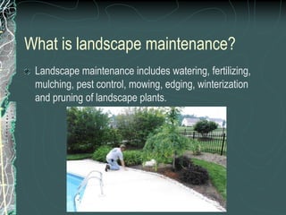 What is landscape maintenance?
Landscape maintenance includes watering, fertilizing,
mulching, pest control, mowing, edging, winterization
and pruning of landscape plants.
 
