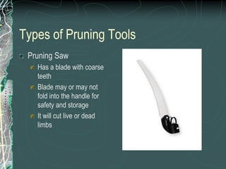 Types of Pruning Tools
Pruning Saw
Has a blade with coarse
teeth
Blade may or may not
fold into the handle for
safety and storage
It will cut live or dead
limbs
 