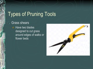Types of Pruning Tools
Grass shears
Have two blades
designed to cut grass
around edges of walks or
flower beds
 