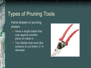 Types of Pruning Tools
Hand shears or pruning
shears
Have a single blade that
cuts against another
piece of metal or . . .
Two blades that work like
scissors to cut limbs ½” in
diameter
 