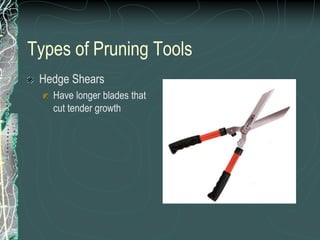 Types of Pruning Tools
Hedge Shears
Have longer blades that
cut tender growth
 