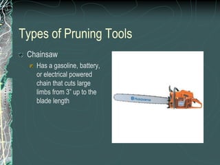 Types of Pruning Tools
Chainsaw
Has a gasoline, battery,
or electrical powered
chain that cuts large
limbs from 3” up to the
blade length
 