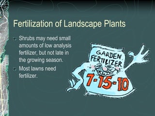 Fertilization of Landscape Plants
Shrubs may need small
amounts of low analysis
fertilizer, but not late in
the growing season.
Most lawns need
fertilizer.
 