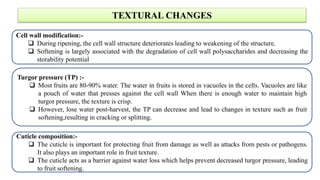 INFLUENCE OF PREHARVEST PRACTICES, ENZYMATIC AND TEXTURAL CHANGES ...