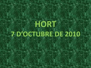 HORT7 D’OCTUBRE DE 2010 