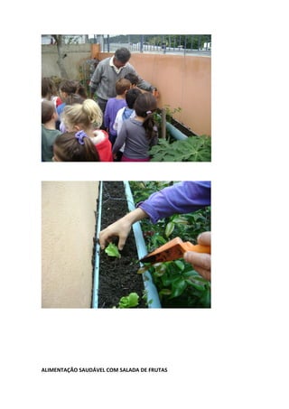 ALIMENTAÇÃO SAUDÁVEL COM SALADA DE FRUTAS
 