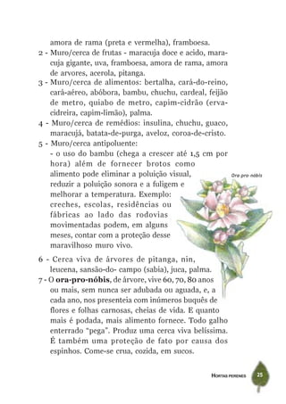 HORTAS PERENES 25
Ora-pro-nóbis
3 - Muro/cerca de alimentos: bertalha, cará-do-reino,
cará-aéreo, abóbora, bambu, chuchu, cardeal, feijão
de metro, quiabo de metro, capim-cidrão (erva-
cidreira, capim-limão), palma.
4 - Muro/cerca de remédios: insulina, chuchu, guaco,
maracujá, batata-de-purga, aveloz, coroa-de-cristo.
5 - Muro/cerca antipoluente:
- o uso do bambu (chega a crescer até 1,5 cm por
hora) além de fornecer brotos como
alimento pode eliminar a poluição visual,
reduzir a poluição sonora e a fuligem e
melhorar a temperatura. Exemplo:
creches, escolas, residências ou
fábricas ao lado das rodovias
movimentadas podem, em alguns
meses, contar com a proteção desse
maravilhoso muro vivo.
6 - Cerca viva de árvores de pitanga, nin,
leucena, sansão-do- campo (sabia), juca, palma.
7 - O ora-pro-nóbis, de árvore, vive 60, 70, 80 anos
ou mais, sem nunca ser adubada ou aguada, e, a
cada ano, nos presenteia com inúmeros buquês de
flores e folhas carnosas, cheias de vida. E quanto
mais é podada, mais alimento fornece. Todo galho
enterrado “pega”. Produz uma cerca viva belíssima.
É também uma proteção de fato por causa dos
espinhos. Come-se crua, cozida, em sucos.
amora de rama (preta e vermelha), framboesa.
2 - Muro/cerca de frutas - maracuja doce e acido, mara-
cuja gigante, uva, framboesa, amora de rama, amora
de arvores, acerola, pitanga.
 