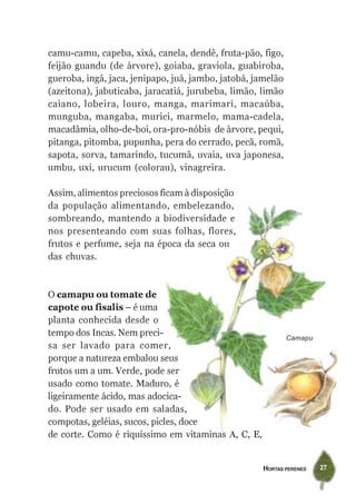 HORTAS PERENES 27
Camapu
O camapu ou tomate de
capote ou fisalis – é uma
planta conhecida desde o
tempo dos Incas. Nem preci-
sa ser lavado para comer,
porque a natureza embalou seus
frutos um a um. Verde, pode ser
usado como tomate. Maduro, é
ligeiramente ácido, mas adocica-
do. Pode ser usado em saladas,
compotas, geléias, sucos, picles, doce
de corte. Como é riquíssimo em vitaminas A, C, E,
camu-camu, capeba, xixá, canela, dendê, fruta-pão, figo,
feijão guandu (de árvore), goiaba, graviola, guabiroba,
gueroba, ingá, jaca, jenipapo, juá, jambo, jatobá, jamelão
(azeitona), jabuticaba, jaracatiá, jurubeba, limão, limão
caiano, lobeira, louro, manga, marimari, macaúba,
munguba, mangaba, murici, marmelo, mama-cadela,
macadâmia, olho-de-boi, ora-pro-nóbis de árvore, pequi,
pitanga, pitomba, pupunha, pera do cerrado, pecã, romã,
sapota, sorva, tamarindo, tucumã, uvaia, uva japonesa,
umbu, uxi, urucum (colorau), vinagreira.
Assim, alimentos preciosos ficam à disposição
da população alimentando, embelezando,
sombreando, mantendo a biodiversidade e
nos presenteando com suas folhas, flores,
frutos e perfume, seja na época da seca ou
das chuvas.
 