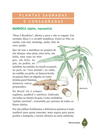 HORTAS PERENES 29
MANDIOCA (aipim, macaxeira)
“Deus é Brasileiro”, afirma o povo e não se engana. Um
exemplo disso é a versátil mandioca. Come-se frita ou
cozida, com mel, manteiga, azeite, leite de
coco, queijo.
Que tal usar a mandioca no preparo de
um nhoque, uma pizza, uma torta, um
bobó, uma sopa ou min-
gau, um bolo, no
pão, no pudim, no
quindim, na coxinha, no rissole ou pastel,
no purê, na “vaca atolada”, no caldo,
no cozidão, no pirão, na famosa farofa,
na paçoca doce ou salgada, ou como
farinha pura? Existem
inúmeras outras
preparações.
No Brasil ela é sempre
orgânica, saudável e nutritiva. Cultivada
em todos os rincões do país, é uma verdadeira
“paixão nacional”, consumida por pessoas de todas as
faixas etárias.
Por não utilizar fertilizantes e defensivos químicos é mais
saudável para quem consome, mais segura para quem
produz e manipula, e menos ofensiva ao meio ambiente.
P L A N T A S S A G R A D A S
E C O N S A G R A D A S
Mandioca
 