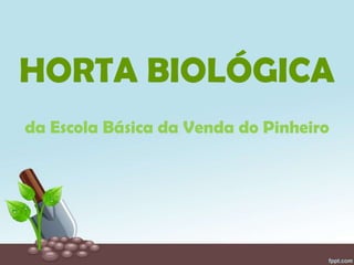 HORTA BIOLÓGICA
da Escola Básica da Venda do Pinheiro
 