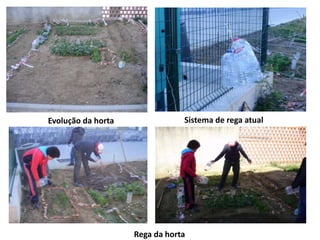 Evolução da horta               Sistema de rega atual




                    Rega da horta
 