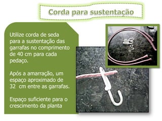 Utilize corda de seda
para a sustentação das
garrafas no comprimento
de 40 cm para cada
pedaço.

Após a amarração, um
espaço aproximado de
32 cm entre as garrafas.

Espaço suficiente para o
crescimento da planta
 