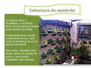 Em alguns casos e
localidades, a incidência
direta do sol sobre as plantas
pode danificar as folhas

Preferencialmente, montei
minha horta em um local
onde há incidência de sol no
período da manhã

Para evitar radiações mais
fortes, tenho um redutor de
nylon, o qual quebra
irradiações mais intensas
 