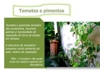 Tomates e pimentas também
são produzidos, havendo
apenas a necessidade de
reposição de terra de tempo
em tempos

A estrutura do tomateiro
consome muito alimento do
solo, motivo da reposição

   Obs.: o tomateiro não gosta
  muito de matéria orgânica em
                    abundância
 