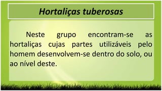 Hortaliças tuberosas
Neste grupo encontram-se as
hortaliças cujas partes utilizáveis pelo
homem desenvolvem-se dentro do solo, ou
ao nível deste.
 