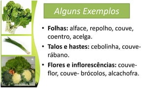 Alguns Exemplos
• Folhas: alface, repolho, couve,
coentro, acelga.
• Talos e hastes: cebolinha, couve-
rábano.
• Flores e inflorescências: couve-
flor, couve- brócolos, alcachofra.
 
