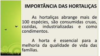 IMPORTÂNCIA DAS HORTALIÇAS
As hortaliças abrange mais de
100 espécies, são consumidas cruas,
cozidas, industrializadas e como
condimentos.
A horta é essencial para a
melhoria da qualidade de vida das
famílias.
 