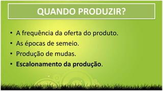 QUANDO PRODUZIR?
• A frequência da oferta do produto.
• As épocas de semeio.
• Produção de mudas.
• Escalonamento da produção.
 