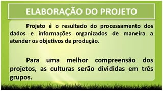 ELABORAÇÃO DO PROJETO
Projeto é o resultado do processamento dos
dados e informações organizados de maneira a
atender os objetivos de produção.
Para uma melhor compreensão dos
projetos, as culturas serão divididas em três
grupos.
 