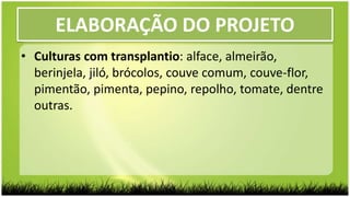 ELABORAÇÃO DO PROJETO
• Culturas com transplantio: alface, almeirão,
berinjela, jiló, brócolos, couve comum, couve-flor,
pimentão, pimenta, pepino, repolho, tomate, dentre
outras.
 