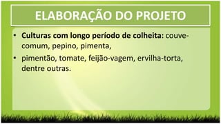 ELABORAÇÃO DO PROJETO
• Culturas com longo período de colheita: couve-
comum, pepino, pimenta,
• pimentão, tomate, feijão-vagem, ervilha-torta,
dentre outras.
 