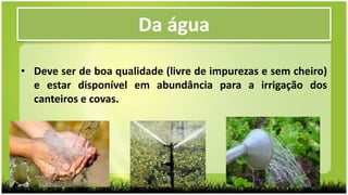 • Deve ser de boa qualidade (livre de impurezas e sem cheiro)
e estar disponível em abundância para a irrigação dos
canteiros e covas.
Da água
 