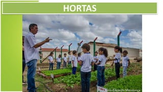 HORTAS
 