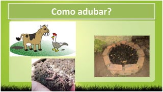 Como adubar?
 