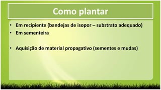 • Em recipiente (bandejas de isopor – substrato adequado)
• Em sementeira
• Aquisição de material propagativo (sementes e mudas)
Como plantar
 
