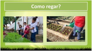 Como regar?
 