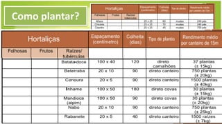 Como plantar?
 