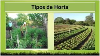 Tipos de Horta
 