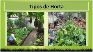 Tipos de Horta
 