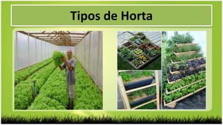 Tipos de Horta
 