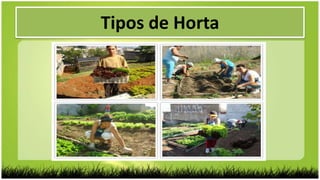 Tipos de Horta
 