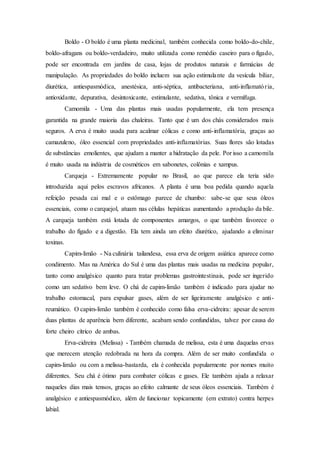 Boldo - O boldo é uma planta medicinal, também conhecida como boldo-do-chile,
boldo-afragans ou boldo-verdadeiro, muito utilizada como remédio caseiro para o fígado,
pode ser encontrada em jardins de casa, lojas de produtos naturais e farmácias de
manipulação. As propriedades do boldo incluem sua ação estimulante da vesícula biliar,
diurética, antiespasmódica, anestésica, anti-séptica, antibacteriana, anti-inflamatória,
antioxidante, depurativa, desintoxicante, estimulante, sedativa, tônica e vermífuga.
Camomila - Uma das plantas mais usadas popularmente, ela tem presença
garantida na grande maioria das chaleiras. Tanto que é um dos chás considerados mais
seguros. A erva é muito usada para acalmar cólicas e como anti-inflamatória, graças ao
camazuleno, óleo essencial com propriedades anti-inflamatórias. Suas flores são lotadas
de substâncias emolientes, que ajudam a manter a hidratação da pele. Por isso a camomila
é muito usada na indústria de cosméticos em sabonetes, colônias e xampus.
Carqueja - Extremamente popular no Brasil, ao que parece ela teria sido
introduzida aqui pelos escravos africanos. A planta é uma boa pedida quando aquela
refeição pesada cai mal e o estômago parece de chumbo: sabe-se que seus óleos
essenciais, como o carquejol, atuam nas células hepáticas aumentando a produção da bile.
A carqueja também está lotada de componentes amargos, o que também favorece o
trabalho do fígado e a digestão. Ela tem ainda um efeito diurético, ajudando a eliminar
toxinas.
Capim-limão - Na culinária tailandesa, essa erva de origem asiática aparece como
condimento. Mas na América do Sul é uma das plantas mais usadas na medicina popular,
tanto como analgésico quanto para tratar problemas gastrointestinais, pode ser ingerido
como um sedativo bem leve. O chá de capim-limão também é indicado para ajudar no
trabalho estomacal, para expulsar gases, além de ser ligeiramente analgésico e anti-
reumático. O capim-limão também é conhecido como falsa erva-cidreira: apesar de serem
duas plantas de aparência bem diferente, acabam sendo confundidas, talvez por causa do
forte cheiro cítrico de ambas.
Erva-cidreira (Melissa) - Também chamada de melissa, esta é uma daquelas ervas
que merecem atenção redobrada na hora da compra. Além de ser muito confundida o
capim-limão ou com a melissa-bastarda, ela é conhecida popularmente por nomes muito
diferentes. Seu chá é ótimo para combater cólicas e gases. Ele também ajuda a relaxar
naqueles dias mais tensos, graças ao efeito calmante de seus óleos essenciais. Também é
analgésico e antiespasmódico, além de funcionar topicamente (em extrato) contra herpes
labial.
 