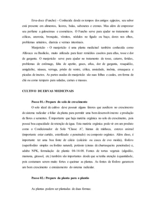 Erva-doce (Funcho) - Conhecida desde os tempos dos antigos egípcios, seu sabor
está presente em alimentos, licores, balas, sabonetes e cremes. Mas além de emprestar
seu perfume a guloseimas e cosméticos. O Funcho serve para ajudar no tratamento de
cólicas, anorexia, bronquite, vômitos, nódulos no fígado ou baço, dores nos olhos,
problemas urinários, diarreia e vermes intestinais.
Manjericão - O manjericão é uma planta medicinal também conhecida como
Alfavaca ou Basilicão, muito utilizada para fazer remédios caseiros para aftas, tosse e dor
de garganta. O manjericão serve para ajudar no tratamento de tosse, catarro, feridas,
problemas de estômago, falta de apetite, gases, aftas, dor de garganta, rouquidão,
amigdalite, náusea, verruga, prisão de ventre, cólica, ansiedade, insônia, enxaqueca e
picadas de insetos. As partes usadas do manjericão são suas folhas e caules, em forma de
chá ou como tempero para saladas, carnes e massas.
CULTIVO DE ERVAS MEDICINAIS
Passo 01.: Preparo do solo de crescimento
O solo ideal de cultivo deve possuir alguns fatores que auxiliem no crescimento
do sistema radicular e foliar da planta para permitir uma bom desenvolvimento e produção
de flores e sementes. É importante que haja matéria orgânica no solo de crescimento, pois
possui boa capacidade de retenção de água. Esta matéria orgânica pode vir em um produto
como o Condicionador de Solo “Classe A”, húmus de minhoca, esterco animal
(importante estar curtido, esterilizado e peneirado) ou composto orgânico. Além disso, é
importante ter uma boa fonte de cálcio (calcário ou casca de ovo moída), fósforo
(superfosfato simples ou fosfato natural), potássio (cinzas de churrasqueira peneiradas) e,
adubo NPK, formulação de plantio 04-14-08. Fontes de tortas vegetais (algodão,
mamona, girassol, etc.) também são importantes desde que se tenha atenção à quantidade,
pois costumam serem muito fortes e queimar as plantas. As fontes de fósforo garantem
um bom crescimento e enraizamento do sistema radicular.
Passo 02.: Preparo da planta para o plantio
As plantas podem ser plantadas de duas formas:
 