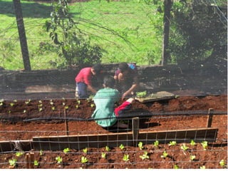 Horta e Patio da Escola