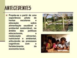 Propõe-se a partir de uma
experiência piloto de
hortas escolares e
educação sobre
alimentação saudável e
ambiental sustentável, no
âmbito das políticas
educacionais, a
reeducação alimentar,
nutricional e ambiental,
articulando os processos
cognitivos com o
fortalecimento da
economia local.
 