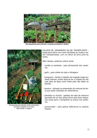 COLHER DE JARDINEIRO OU DE TRANSPLANTE -
usada para retirar com maior facilidade as mudas a se-
rem transplantadas, com um bloco de terra junto às
raízes.
Além dessas, podemos utilizar ainda:
- cordão ou barbante - para alinhamento dos cantei-
ros.
- garfo - para coleta de mato e folhagens.
- mangueira - facilita o trabalho de irrigação (rega) em
áreas maiores, porém deve-se ter o cuidado de não
usar jatos de água muito fortes para não afetar as
plantas.
- peneira - utilizada na preparação de misturas de ter-
ra que serão utilizadas em sementeiras.
- plantador ou chucho - (pedaço de cabo de vassoura
apontado de um dos lados) serve para fazer peque-
nas covas para o transplante ou sulcos nos cantei-
ros.
- pulverizador - para aplicar defensivos ou adubos
foliares.
13
 