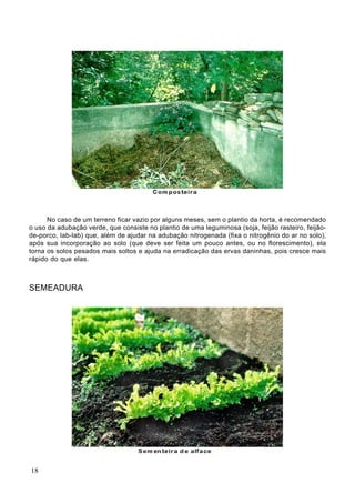 No caso de um terreno ficar vazio por alguns meses, sem o plantio da horta, é recomendado
o uso da adubação verde, que consiste no plantio de uma leguminosa (soja, feijão rasteiro, feijão-
de-porco, lab-lab) que, além de ajudar na adubação nitrogenada (fixa o nitrogênio do ar no solo),
após sua incorporação ao solo (que deve ser feita um pouco antes, ou no florescimento), ela
torna os solos pesados mais soltos e ajuda na erradicação das ervas daninhas, pois cresce mais
rápido do que elas.
SEMEADURA
18
 