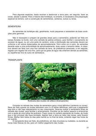 Para algumas espécies, basta revolver e destorroar a terra para, em seguida, fazer as
covas, adubar e plantar. Para a maioria das hortaliças, no entanto, é necessária uma preparação
especial do terreno, com a construção de sementeiras, canteiros, sulcos ou leiras.
SEMENTEIRA
As sementes de hortaliças são, geralmente, muito pequenas e necessitam de boas condi-
ções para germinar.
Não é necessário o preparo de grandes áreas para a sementeira, podendo ser feita em
caixas (furadas no fundo, com uma camada de pedras embaixo, para facilitar o escoamento do
excesso de água), ou em uma parte do canteiro, onde a distribuição das sementes deverá ser
uniforme e em sulcos distanciados de aproximadamente 10cm entre um e outro. As sementes
deverão estar a uma profundidade de aproximadamente, duas vezes o tamanho delas. A cober-
tura deverá ser feita com uma fina camada de terra, de preferência peneirada, e em seguida,
regada com regador de crivo fino, para que as gotas de água não enterrem demais as sementes,
ou espalhá-las fora do sulco de semeadura.
TRANSPLANTE
Consiste na retirada das mudas da sementeira para o local definitivo (canteiros ou covas).
Deve ser feito quando as mudas estiverem com 4 a 6 folhas definitivas, para que o pegamento
seja bom e não haja retardamento no seu crescimento. Deve-se molhar a sementeira antes da
retirada das mudas, para facilitar o arrancamento. Escolher as de melhor aspecto e arrancá-las
com a ajuda de uma colher de jardineiro. Fazer covas no canteiro plantando as mudas, de modo
que a raiz principal não fique enrolada. Apertar bem a terra ao redor das raízes, para ficarem
firmes. Molhar bem todos os dias pela manhã ou no final da tarde, evitando regar nas horas de
sol quente.
O transplante deve ser feito, de preferência, em dias chuvosos ou nublados, ou durante as
horas mais frescas do dia, para um melhor pegamento das mudas.
19
 