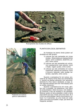 PLANTIO EM LOCAL DEFINITIVO
As hortaliças de plantio direto podem ser
divididas em três grupos:
1) culturas que são semeadas em covas
amplas, distanciadas por espaçamentos
largos, como a abóbora, abobrinha, pe-
pino, entre outros.
2) culturas que são semeadas em sulcos,
com espaçamento mais estreito, como
o feijão, vagem quiabo, entre outros.
3) culturas que são semeadas em sulcos
superficiais, abertos em canteiros, como
a cenoura, rabanete, nabo, acelga, be-
terraba, espinafre, entre outros.
Quando a semeadura for em sulcos, pro-
cede-se da mesma forma feita nas sementeiras
e, quando as plantas estiverem com aproxima-
damente 5 a 7cm, fazer o desbaste, ou seja, re-
tirar algumas plantas para dar mais espaço para
as outras crescerem.
Quando a semeadura for em covas, abrí-
las com o enxadão, de preferência, com 30cm
de profundidade e 30cm de boca, com distânci-
as conforme o tipo de hortaliça a ser plantada.
Misturar adubo ou terra adubada e voltar a terra
para dentro da cova. Fazer uma cova rasa, de 3
a 5cm de profundidade, dentro da primeira e co-
locar 3 a 4 sementes, ou uma muda em cada;
cobrir com terra e proceder a rega, que deve ser
freqüente também.
20
 