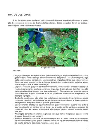 TRATOS CULTURAIS
A fim de proporcionar às plantas melhores condições para seu desenvolvimento e produ-
ção, é necessária a execução de diversos tratos culturais. Essas operações devem ser executa-
das na época certa e com todo cuidado.
São eles:
- Irrigação ou regas: a freqüência ou a quantidade de água a aplicar dependem das condi-
ções do solo, clima e estágio de desenvolvimento das plantas. De um modo geral, logo
após a semeação e transplantio, são necessárias irrigações diárias, que não devem ser
feitas nas horas quentes do dia. A falta de água diminui o crescimento, prejudica a qua-
lidade do produto e acelera a maturação.
- Capinas: operação que pode ser feita manualmente, com auxílio de enxada ou sacho e é
realizada para manter a cultura sempre no limpo, isto é, sem plantas daninhas (que são
todas aquelas diferentes das que foram plantadas). Elas devem ser retiradas, porque
concorrem com a água, nutrientes e luz, ou podem ser portadoras ou hospedeiras de
doenças e pragas.
- Desbaste ou raleação: são feitas nas hortaliças de semeação direta, tanto nas covas
como nos canteiros, eliminando-se as plantas menos desenvolvidas e deixando-se um
espaçamento adequado entre as plantas que ficarem.
- Estaqueamento: é feito para algumas hortaliças que necessitam de suporte para evitar o
seu crescimento em contato com a terra, ou proteção contra ventos ou excesso de
produção, como é o caso da ervilha-torta, feijão-vagem, pepino, tomate, pimentão, berin-
jela, etc.
- Amarração: consiste em amarrar as plantas para sua melhor fixação nas estacas (como
é o caso do pepino e do tomate).
- Amontoa: em certas culturas é necessário chegar terra ao pé da planta, após certo grau
de desenvolvimento, para que as raízes ou tubérculos fiquem enterrados (como é o caso
da batata, cenoura, beterraba, rabanete, nabo, etc.).
21
 